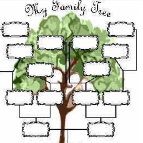 Biareview Family Tree Maker