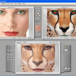 Abrosoft FantaMorph Pro