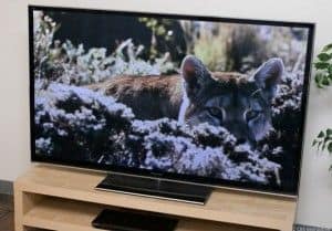 amazon Panasonic Viera TC-P65VT50 reviews Panasonic Viera TC-P65VT50 on amazon newest Panasonic Viera TC-P65VT50 prices of Panasonic Viera TC-P65VT50 Panasonic Viera TC-P65VT50 deals best deals on Panasonic Viera TC-P65VT50 buying a Panasonic Viera TC-P65VT50 lastest Panasonic Viera TC-P65VT50 what is a Panasonic Viera TC-P65VT50 Panasonic Viera TC-P65VT50 at amazon where to buy Panasonic Viera TC-P65VT50 where can i you get a Panasonic Viera TC-P65VT50 online purchase Panasonic Viera TC-P65VT50 Panasonic Viera TC-P65VT50 sale off Panasonic Viera TC-P65VT50 discount cheapest Panasonic Viera TC-P65VT50 Panasonic Viera TC-P65VT50 for sale panasonic viera tc-p65vt50 65-inch 1080p panasonic viera tc-p65vt50 manual panasonic viera tc-p65vt50 65 3d plasma tv panasonic viera tc p65vt50 review panasonic viera tc-p65vt50 specs