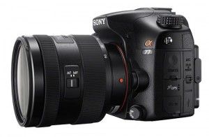 amazon Sony Alpha SLT-A77 reviews Sony Alpha SLT-A77 on amazon newest Sony Alpha SLT-A77 prices of Sony Alpha SLT-A77 Sony Alpha SLT-A77 deals best deals on Sony Alpha SLT-A77 buying a Sony Alpha SLT-A77 lastest Sony Alpha SLT-A77 what is a Sony Alpha SLT-A77 Sony Alpha SLT-A77 at amazon where to buy Sony Alpha SLT-A77 where can i you get a Sony Alpha SLT-A77 online purchase Sony Alpha SLT-A77 Sony Alpha SLT-A77 sale off Sony Alpha SLT-A77 discount cheapest Sony Alpha SLT-A77 Sony Alpha SLT-A77 for sale sony alpha slt-a65/a77 for dummies pdf download sony alpha slt-a65/a77 for dummies sony alpha a77 (slt-a77vq) review sony alpha slt-a65/a77 for dummies pdf sony alpha slt-a77 accessories david busch's sony alpha slt-a77/a65 compact field guide sony alpha slt-a65/a77 for dummies download sony alpha slt-a77 for sale in south africa sony alpha slt a57 vs a77 david busch's sony alpha slt-a77 guide to digital photography david busch's sony alpha slt a77 guide david busch's sony alpha slt-a77 sony alpha a77 ii digital slt camera body sony vertical battery grip for alpha slt-a77 camera sony vertical battery grip for alpha slt-a77 sony alpha slt-a77 dslr digital camera (body only) sony alpha slt-a77 body sony alpha slt-a77 body купить cámara sony alpha slt-a77 con lente 18-200mm sony alpha slt-a77 dslr digital camera sony alpha slt-a77 vs canon 70d sony alpha slt-a77 24.3 mp digital slr camera sony alpha a77 ii digital slt camera with 16-50mm lens sony alpha slt-a77 translucent mirror digital slr camera sony alpha a77 ii digital slt camera danh gia sony alpha slt-a77 sony alpha slt-a77 vs nikon d7100 sony alpha slt-a77 vs canon eos 70d sony alpha slt-a77 ebay sony alpha slt-a77 firmware update sony alpha slt-a77 flickr sony alpha slt a77 for sale sony alpha slt-a77 gps sony alpha slt-a77 vat gia harga sony alpha slt a77 sony alpha slt-a77 price in india sony alpha slt-a77 ii review sony alpha slt-a77 ii m2 sony alpha a77 ii digital slt review sony alpha slt-a77 mark ii sony alpha slt-a77 price in malaysia jual sony alpha slt a77 sony alpha slt-a77 kit sony alpha slt-a77 kit обзор sony alpha slt-a77 kit 18-135 sony alpha slt-a77 ii kit 18-135 sony alpha slt-a77 ii kit sony alpha slt-a77 kit цена sony alpha a77 mark ii slt kamera sony alpha slt-a77 kit 18-55 sony alpha slt-a77 ii kit 16-50mm sony alpha slt-a77 kit 16-50 цена sony alpha slt-a77 lenses câmera digital alpha slt-a77 + lente sal18135 sony câmera digital alpha slt-a77 + lente sony sal16105 câmera digital sony alpha slt-a77 24.3mp lcd 3 câmera digital sony alpha slt-a77 + lente sony sal50f18 sony alpha slt-a77 manual sony alpha slt-a77 24.3 mp sony alpha slt-a77 24.3 mp digital camera sony alpha slt-a77 mark ii review sony α (alpha) slt-a77 24.3 mp digital slr camera sony alpha slt a77 vs nikon d5300 sony alpha slt-a77 vs nikon d7000 sony alpha slt-a77 vs nikon d90 sony alpha slt-a77 vs nikon d5200 sony alpha slt a77 ii vs nikon d7100 sony alpha slt-a77 ii vs nikon d7200 sony alpha slt a77 ii vs nikon d5300 reflex sony alpha slt- a77 ii nu sony alpha slt- a77 ii nu objektive für sony alpha slt a77 sony alpha slt-a77 objektive sony alpha slt a77 ii objektive sony alpha slt-a77 ii m2 avec objectif 16-50mm sony alpha slt a77 price sony alpha slt-a77 ii preis sony alpha 77 slt a77 preis sony alpha slt-a77 ii preisvergleich câmera digital sony dslr alpha slt-a77 24.3mp preta sony alpha slt-a77 video quality reflex sony alpha slt- a77 ii reflex sony alpha slt- a77 sony alpha slt-a77 digital camera reviews sony alpha slt-a77 dslr digital camera review sony alpha slt-a77 review sony alpha slt-a65 vs sony alpha slt-a77 sony alpha slt-a77 digital slr sony alpha slt-a77 specifications spesifikasi sony alpha slt a77 test sony alpha slt-a77 ii sony alpha slt-a77 vs canon t5i sony alpha slt-a77 video test test sony alpha slt-a77 test reflex sony alpha slt- a77 ii sony alpha slt a77 teszt sony alpha slt-a77 testbericht sony alpha slt a77 test aparatu vand sony alpha slt-a77 sony alpha slt a77 vs canon 7d đánh giá sony alpha slt a77 sony alpha slt-a77 + 16-50mm f/2.8 sony alpha slt-a77 ii kit 16-50 sony alpha slt-a77 ii kit 18-135 black sony alpha slt-a77 2 sony alpha slt-a77v 24.3 mp sony alpha slt-a77 kit 16-50 black sony alpha slt-a77 kit 18-55 цена sony alpha slt-a77 ii kit 16-50 black sony alpha slt-a77 mark ii kit 16-50mm f2.9 sony alpha slt-a77 vs canon 60d sony alpha 77 (slt-a77) sony a (alpha) slt-a77vq storage media sony a (alpha) slt-a77vq price sony a (alpha) slt-a77vq sony alpha slt-a77 ii test sony alpha slt a77 test sony alpha slt-a77 sony alpha slt-a77v sony alpha slt-a77 ii sony alpha dslr slt-a77 sony alpha slt-a77v price in india sony alpha slt a77 amazon sony alpha a77 (slt-a77vq) sony alpha slt-a77 vs a99 sony alpha slt a77 vs a65 sony alpha slt-a77 body цена sony alpha slt-a77 cũ sony alpha slt-a77 cena sony alpha slt-a77 caracteristicas sony alpha slt-a77 ii cena sony alpha slt-a77 digital camera sony alpha slt-a77 dslr sony alpha slt-a77 dpreview sony alpha slt-a77 dslr camera sony alpha slt-a77 kit 18-135mm sony alpha slt-a77 m2 recenze sony alpha slt-a77 vs sony alpha slt-a65 sony alpha a77 slt-a77v test sony alpha slt-a77v dslr camera sony alpha slt a77v vs nikon d7000 sony alpha slt-a77v vs nikon d5200 sony alpha slt-a77v vs nikon d5300