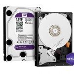 WD Purple 1