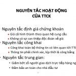 Nguyen Tac Hoat Dong Thi Truong Chung Khoan