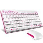 Rapoo 8000 1