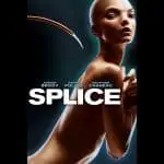 Splice