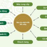 Tư vấn lập báo cáo phát triển bền vững 2 Bao Cao Phat Trien Ben Vung