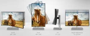 amazon ASUS PROART PA27AC reviews ASUS PROART PA27AC on amazon newest ASUS PROART PA27AC prices of ASUS PROART PA27AC ASUS PROART PA27AC deals best deals on ASUS PROART PA27AC buying a ASUS PROART PA27AC lastest ASUS PROART PA27AC what is a ASUS PROART PA27AC ASUS PROART PA27AC at amazon where to buy ASUS PROART PA27AC where can i you get a ASUS PROART PA27AC online purchase ASUS PROART PA27AC ASUS PROART PA27AC sale off ASUS PROART PA27AC discount cheapest ASUS PROART PA27AC ASUS PROART PA27AC for sale ASUS PROART PA27AC products ASUS PROART PA27AC tutorial ASUS PROART PA27AC specification ASUS PROART PA27AC features ASUS PROART PA27AC test ASUS PROART PA27AC series ASUS PROART PA27AC service manual ASUS PROART PA27AC instructions ASUS PROART PA27AC accessories asus proart pa27ac amazon asus proart pa27ac cena asus proart pa27ac hdr asus proart pa27ac hdr professional monitor asus proart pa27ac hdr professional asus proart pa27ac hdr monitor asus proart 27-inch screen led-lit monitor (pa27ac) monitor asus proart pa27ac asus proart pa27ac professional monitor asus proart pa27ac price asus proart pa27ac prezzo review asus proart pa27ac test asus proart pa27ac asus proart pa27ac 27 asus proart pa27ac review asus proart pa27ac asus proart pa27ac test asus 27 proart pa27ac asus proart pa27ac купить