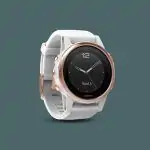 Garmin Fenix 5S Sapphire 7 Garmin Fenix 5S Sapphire