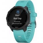 Garmin Forerunner 245