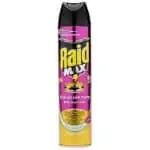 Raid
