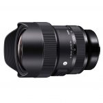 Sigma 14 24mm F28 DG DN Art