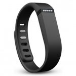 Fitbit Flex Wristband
