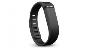 Fitbit Flex Wristband