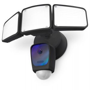 Home Zone Security Floodlight Camera
