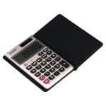 Casio SL 310SV