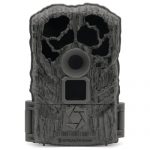 Stealth Cam Browtine