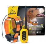 Dogtra Pathfinder 2
