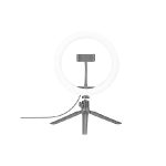 Globe Electric 13338 10'' Ring Light 4 Globe Electric 13338 10 Ring Light