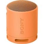 Sony SRS XB100