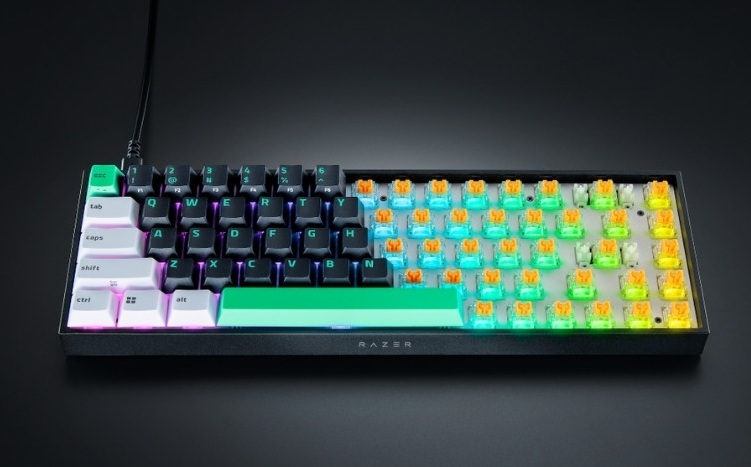 Razer Reclusa X Mini 65%: A Small, Cheap Keyboard With a Razer Badge 2 Razer Reclusa X Mini 65%